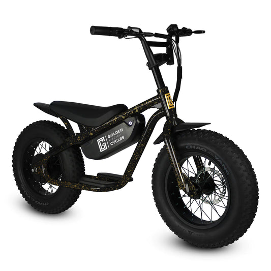Golden Cycles BIG BOY Electric Bicycle
